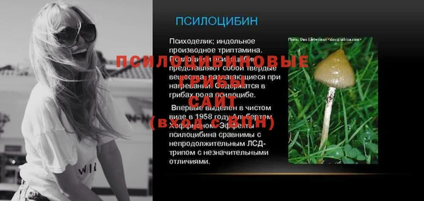 МДПВ Горняк