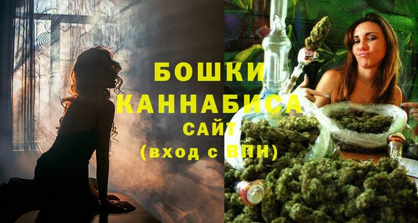 МДПВ Горняк