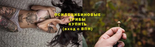 МДПВ Горняк
