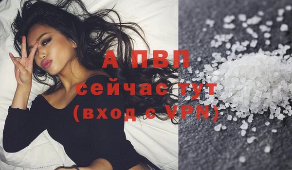 МДПВ Горняк