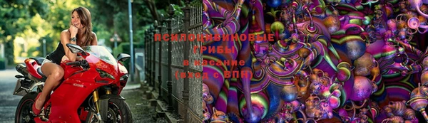 кокс Горно-Алтайск