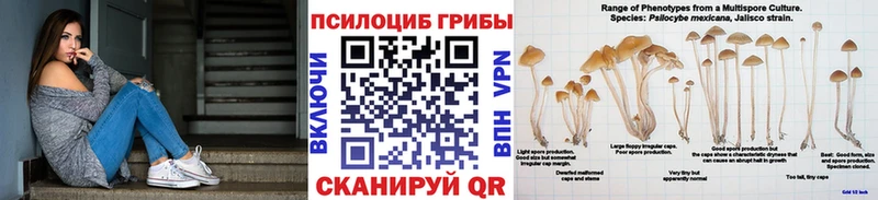 Псилоцибиновые грибы Magic Shrooms  Купить  Великий Новгород 