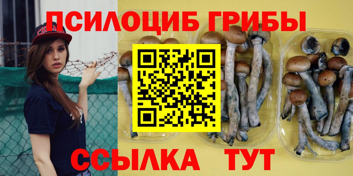 Псилоцибиновые грибы Psilocybine cubensis  Вход с VPN  Великий Новгород 